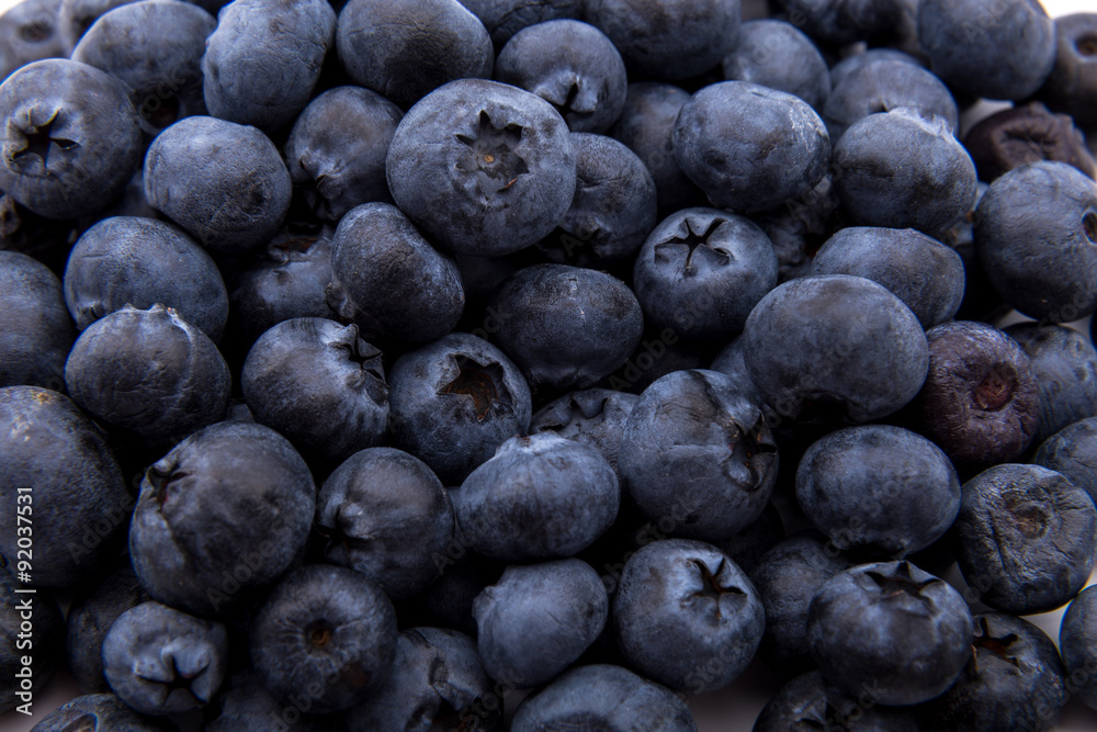 Freshly picked blueberries Freshly picked blueberries