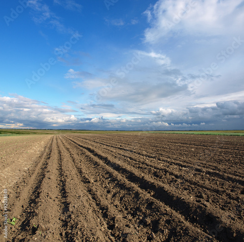 plowed field