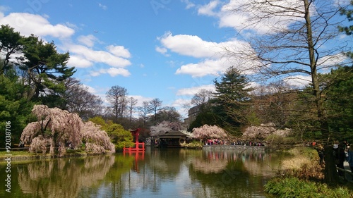 Japanese Hill and Pond Garden at Brooklyn Botanic Garden