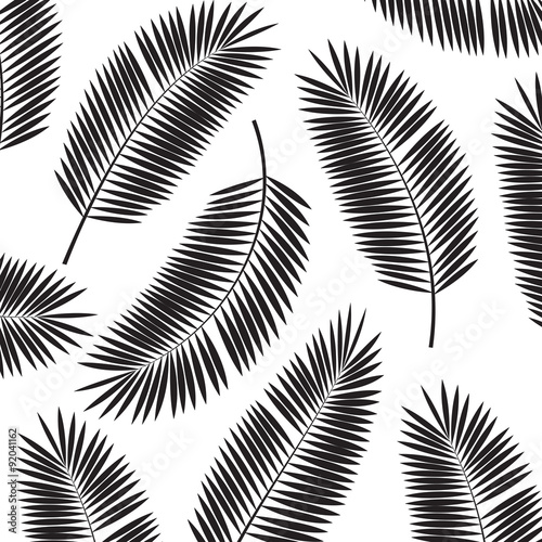Palm Leaf Vector Frame Background Illustration