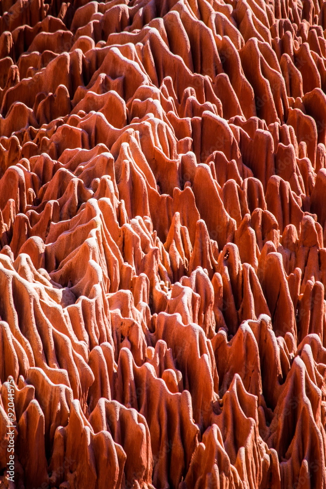 Obraz premium Red Tsingy Madagascar. Stone Forest.
