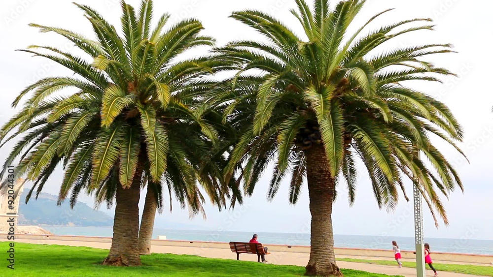 Promenade en bord de mer