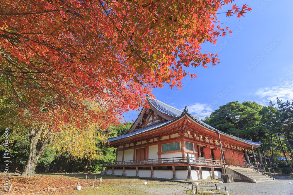 Superb view, fall color at Daigoji temple, Japan in the autumn