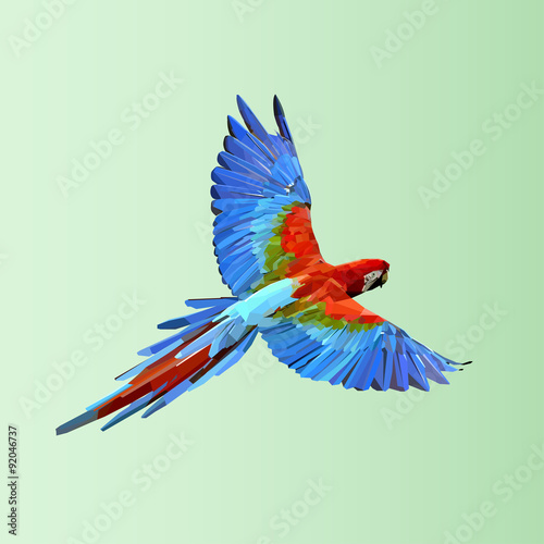 Carta da parati Pappagalli - Carta da parati Flying  parrot. Colorful vector illustration 