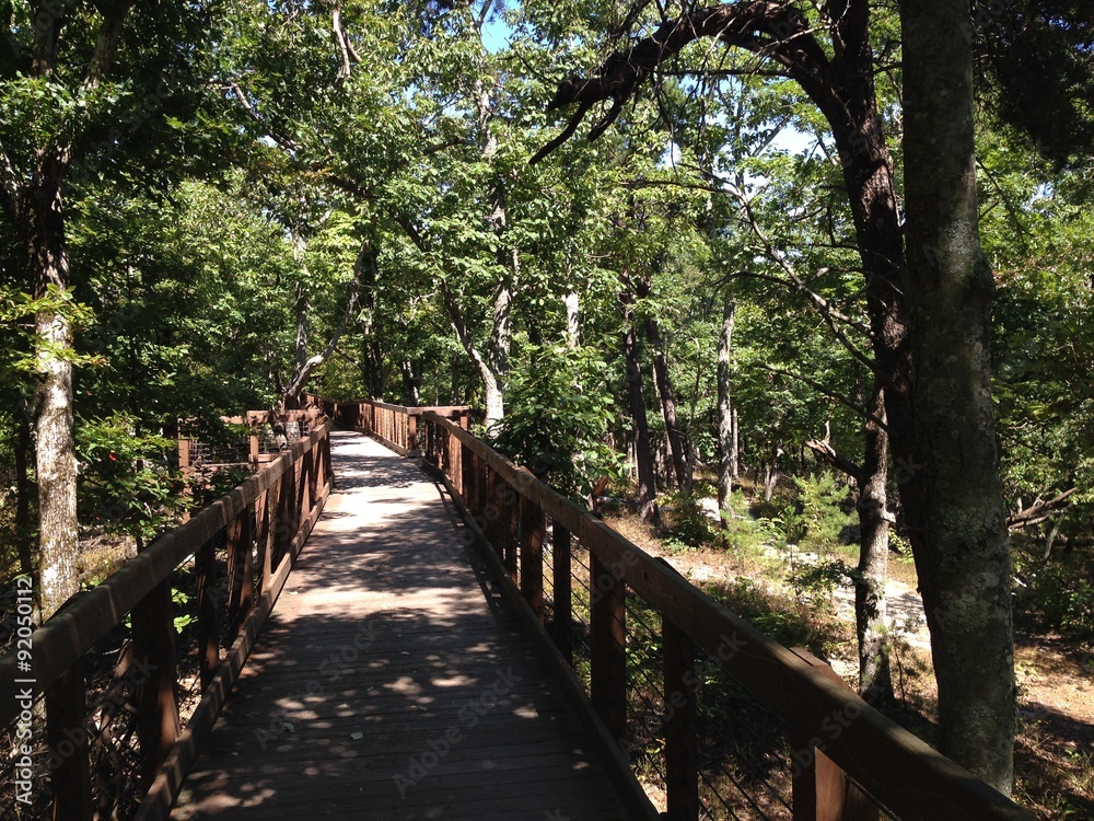 Boardwalk to Bald Rock on Cheaha Mountain, Alabama Boardwalk to Bald Rock on Cheaha Mountain, Alabama