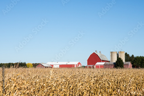 Family Farm Scene in the Fall