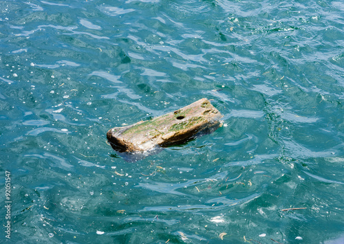 Small wood piece with hole drifting in water