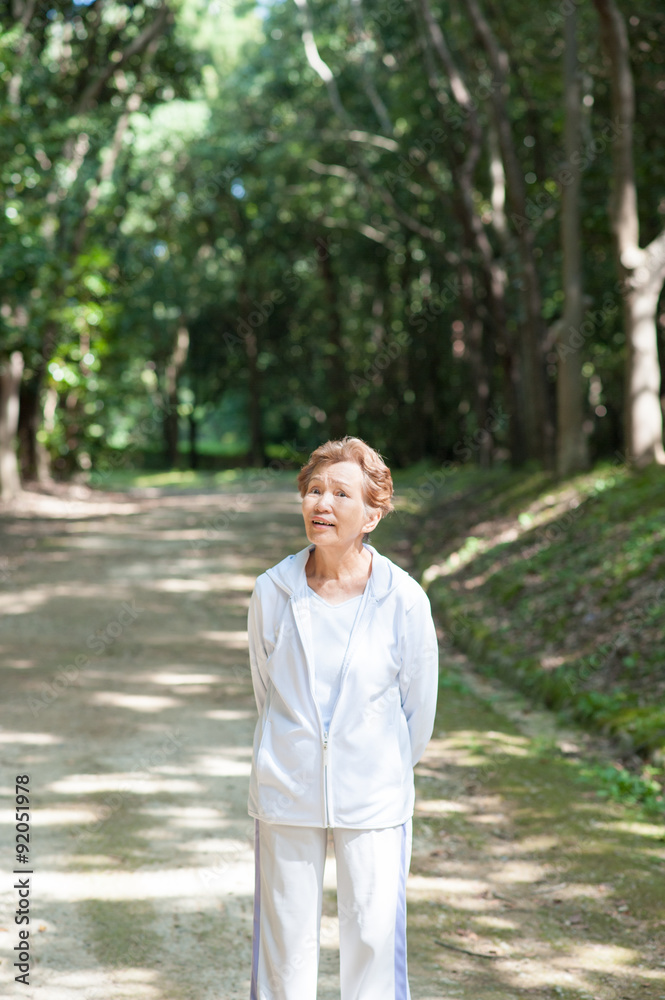 森の中を歩く高齢の日本人女性