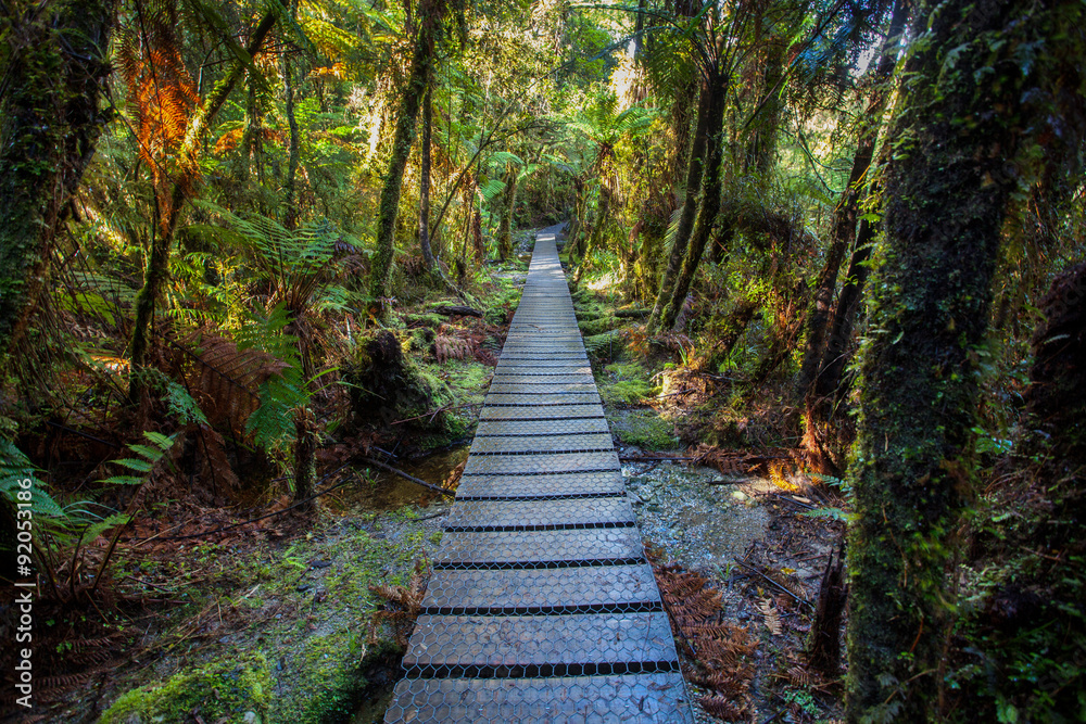 Obraz premium walking path in mountain rain forest at matheson lake important