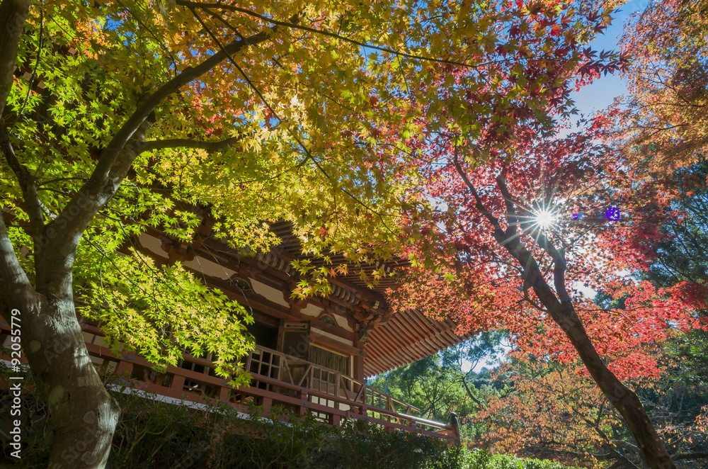 Superb view, fall color at Daigoji temple, Japan in the autumn Superb view, fall color at Daigoji temple, Japan in the autumn