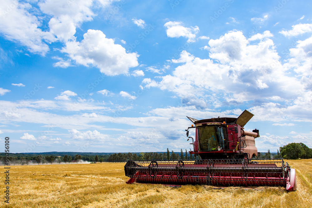 Obraz premium Combine working on the wheat field