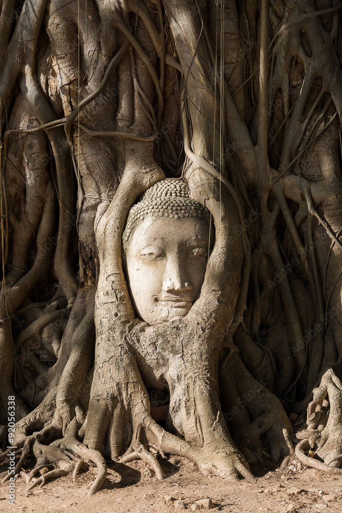 Head of sand stone buddha in Ayutthaya Head of sand stone buddha in Ayutthaya
