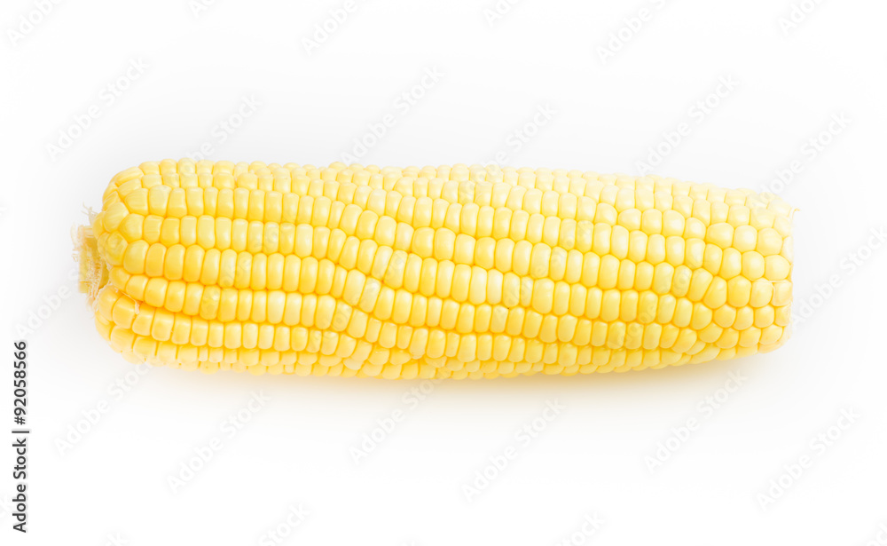 corn isolated on white background corn isolated on white background
