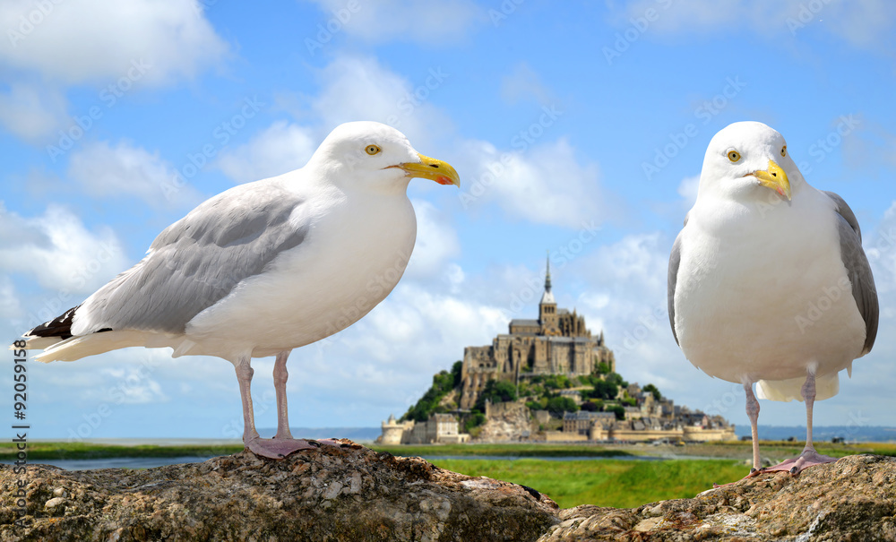 Seagulls in the background Mont Saint Michele, France Seagulls in the background Mont Saint Michele, France