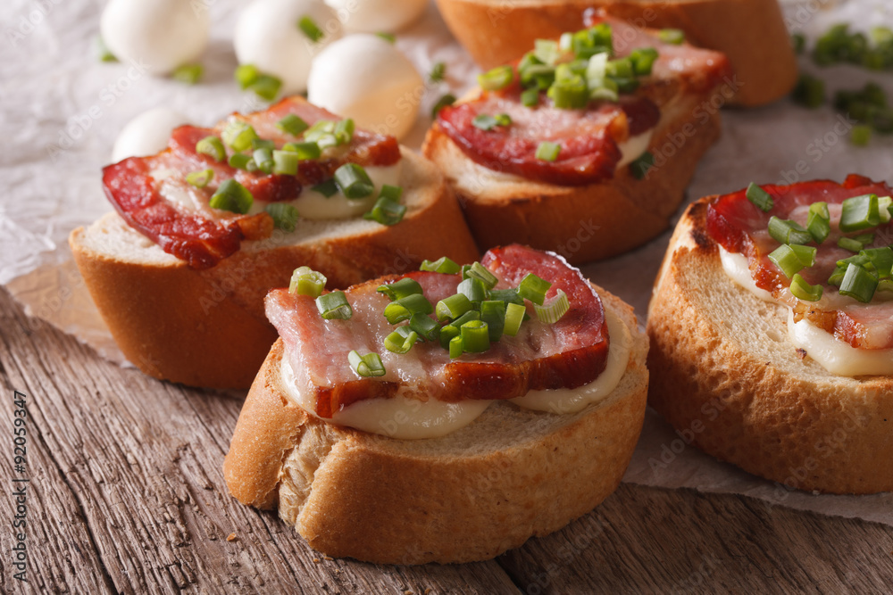 Italian crostini with bacon and mozzarella cheese macro. horizontal
Italian crostini with bacon and mozzarella cheese macro. horizontal