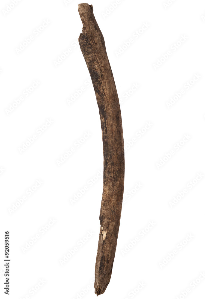 Broken tree branch Broken tree branch