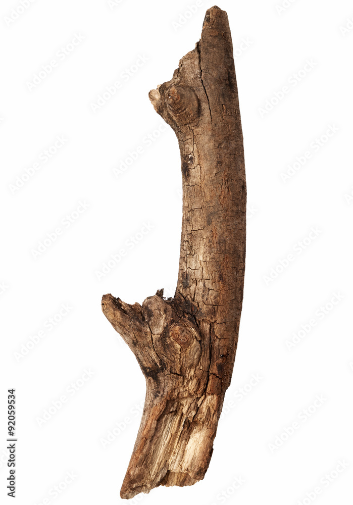 Old cracked tree branch Old cracked tree branch