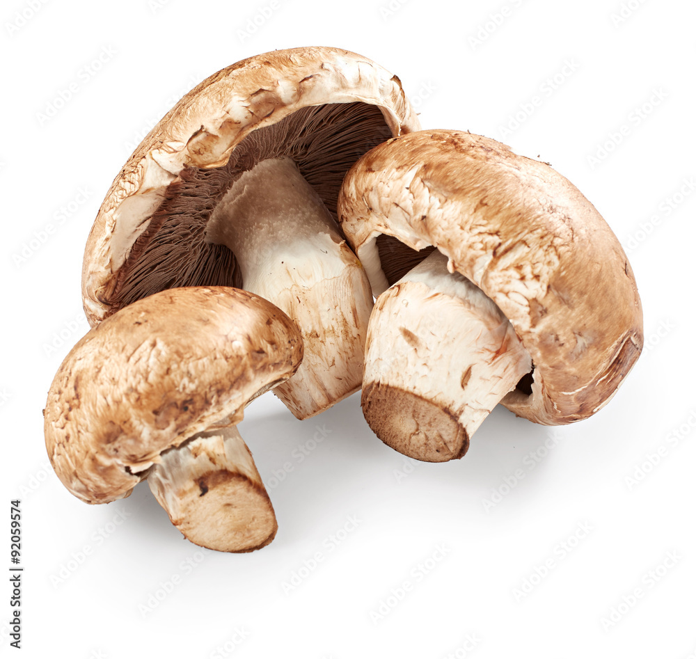 Mushrooms Mushrooms