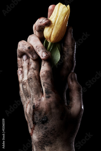 Tulip in dirty male hand