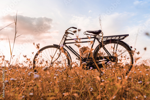 Vintage Bicycle with Summer grassfield