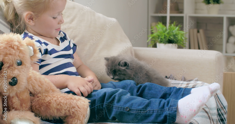 Lovely little girl sitting on sofa next to teddy bear and looking at gray cat clambering over her legs Lovely little girl sitting on sofa next to teddy bear and looking at gray cat clambering over her legs