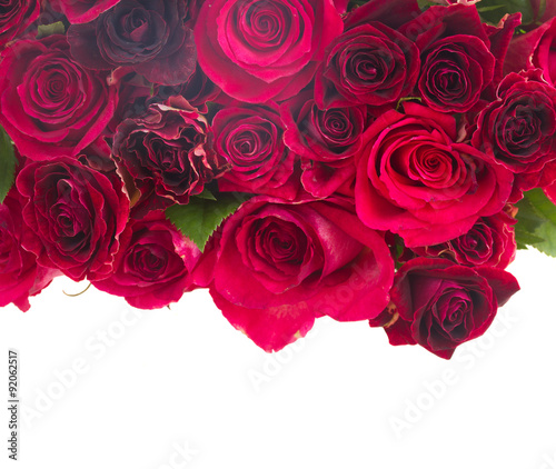 Border of red roses 
