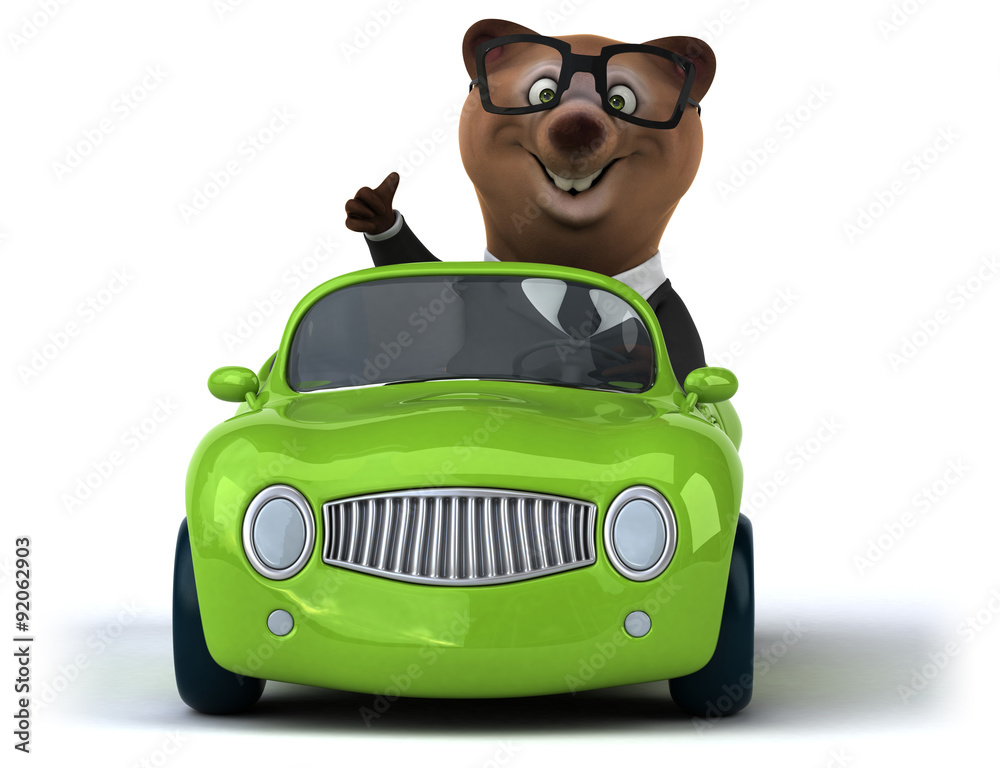 Fun bear Fun bear