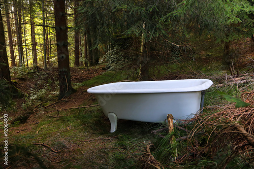 Bath tub in the forest