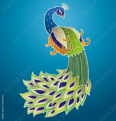 Vector colorful peacock on a blue background.