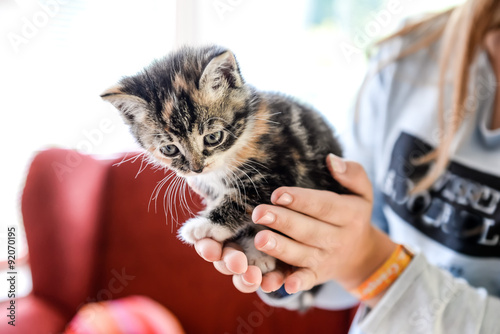 Fototapeta Naklejka Na Ścianę i Meble -  Ein Mädchen hält eine Babykatze behutsam in ihren Händen
