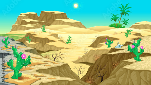 View on the desert