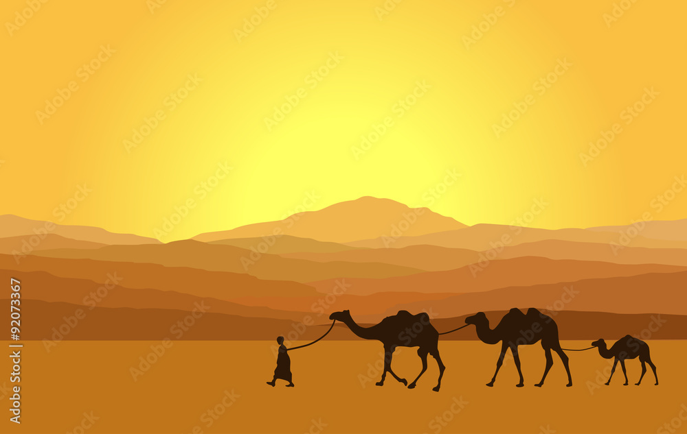 desert desert