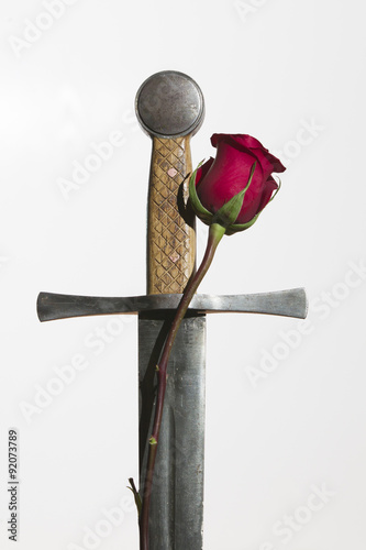 Roses embracing medieval sword
