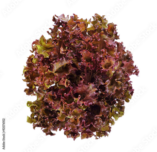red lettuce isolated on white background