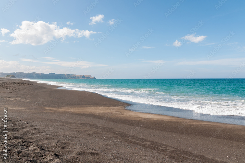 Pacific Ocean in Whirinaki beach reserve Hawkes Bay North Island New Zealand Pacific Ocean in Whirinaki beach reserve Hawkes Bay North Island New Zealand