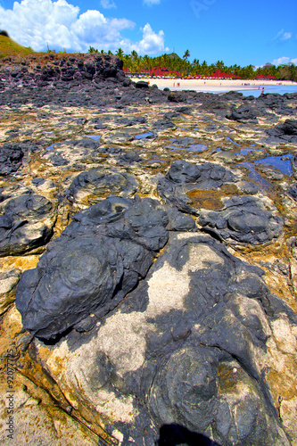 andilana beach seaweed in indian    sky and rock photo