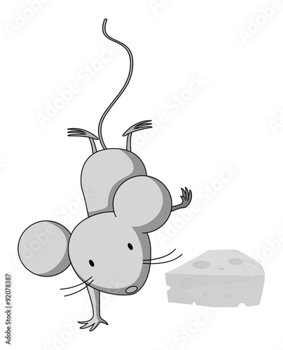 Little mouse doing one handstand