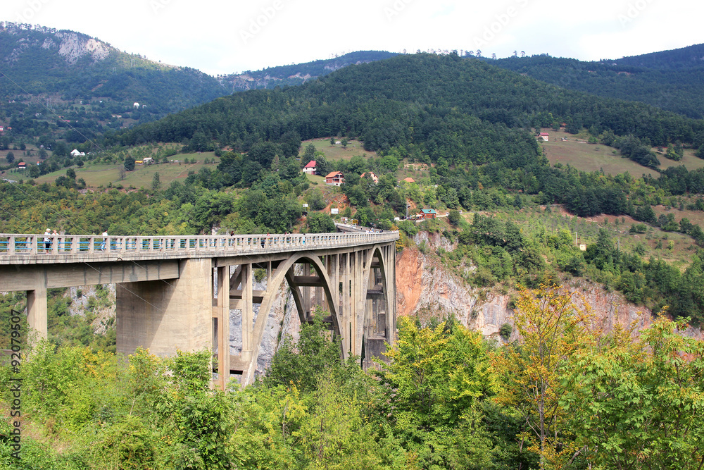 Djurdjevic bridge, Montenegro. Canyon. Tara bridge