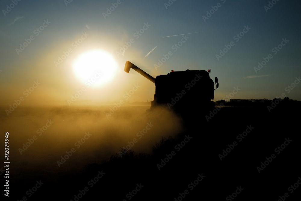 agriculture, country, farming, combine, hard, work,