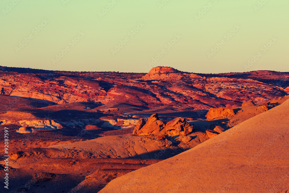 Naklejka premium Prairie