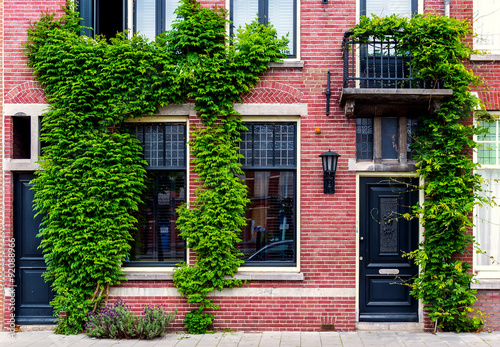 Modern building covered with green ivy. Netherlands