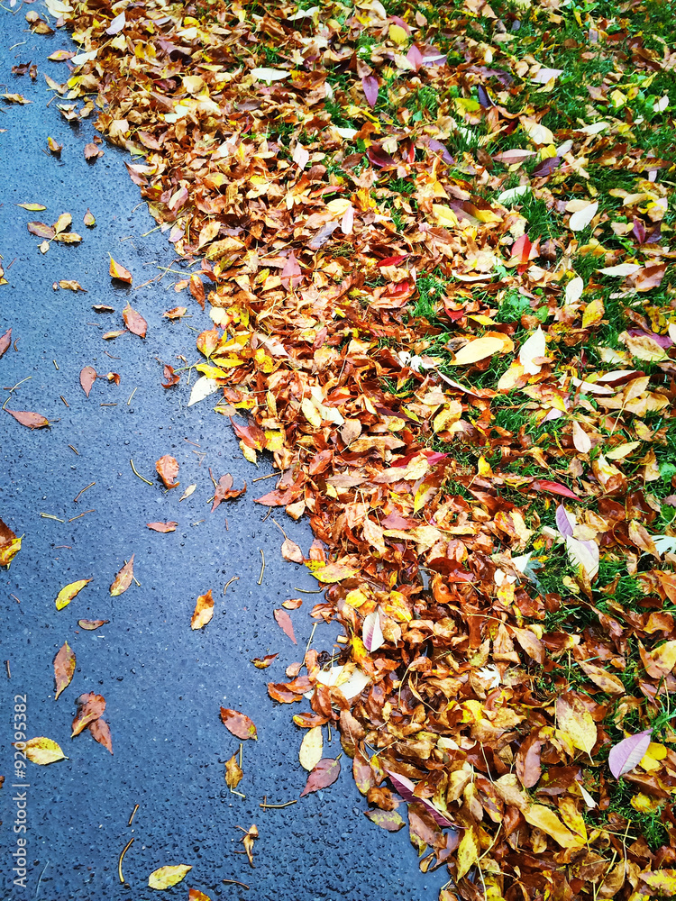 Autumn leaves on asphalt background