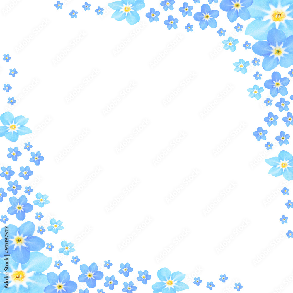 Frame of Forget-me-not flowers, isolated on white