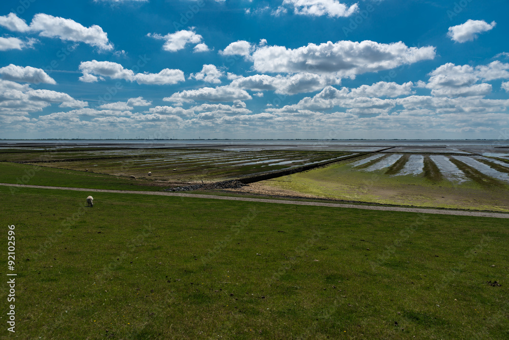 Naklejka premium Watt der Nordsee