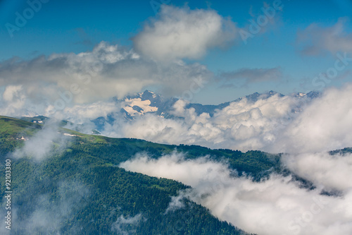 Fototapeta Naklejka Na Ścianę i Meble -   Fog over the forest in the mountains.