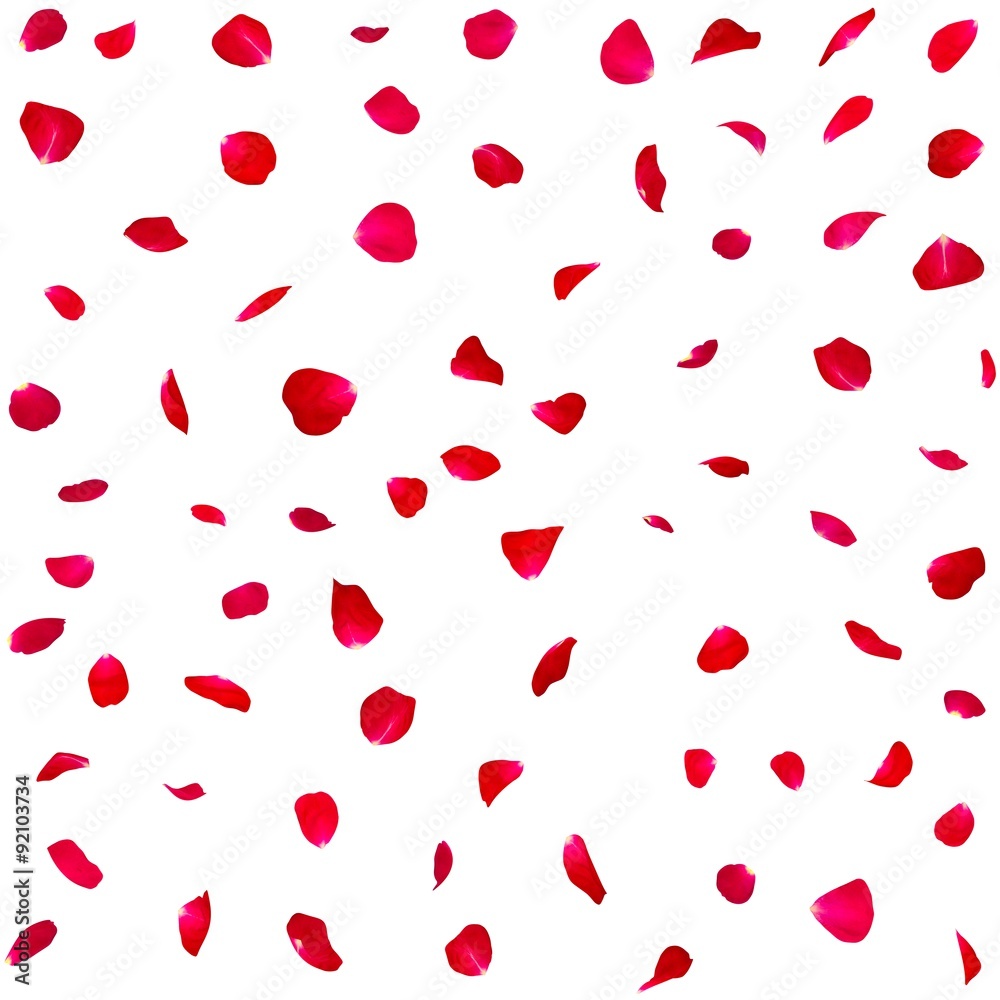 Seamless texture of red rose petals
