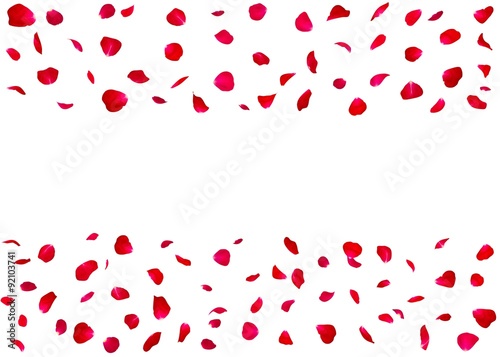 Frame of red rose petals