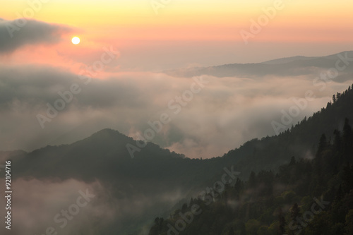  Fog over the forest in the mountains.