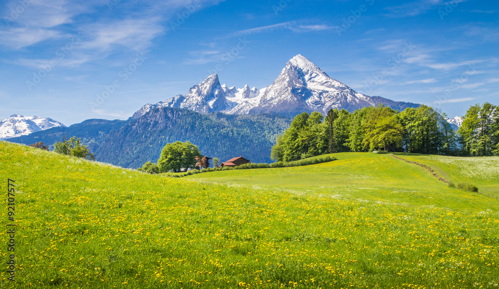 Idyllic landscape in the Alps with green meadows and farmhouse