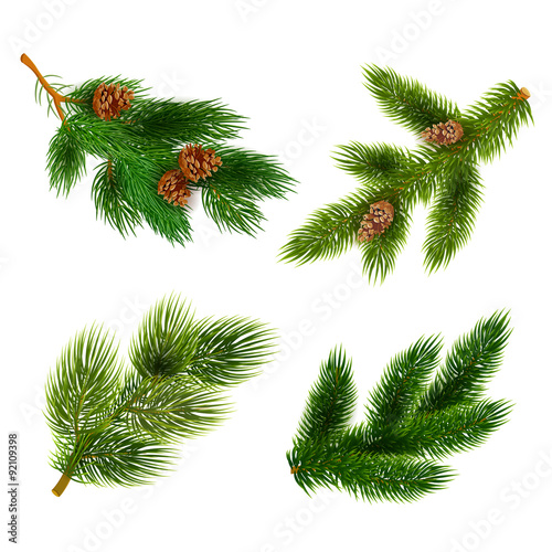 Fir and pine trees branches icons set 